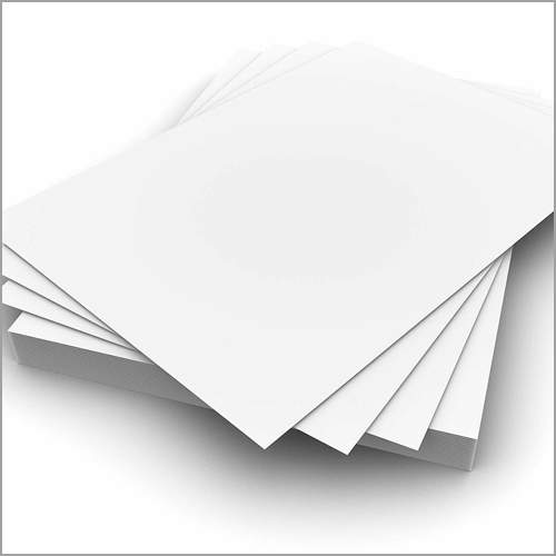 Paper & Paper Products